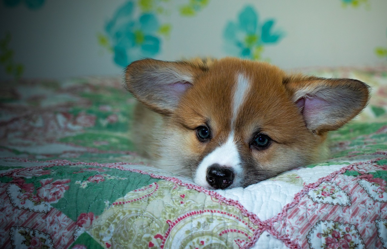 99exch Review: How India's Leading Crypto Exchange Stands Out in 2024