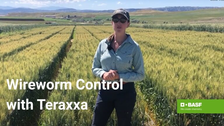 Unlocking the Power of Reddy Anna ID: Features, Benefits, and Community Impact